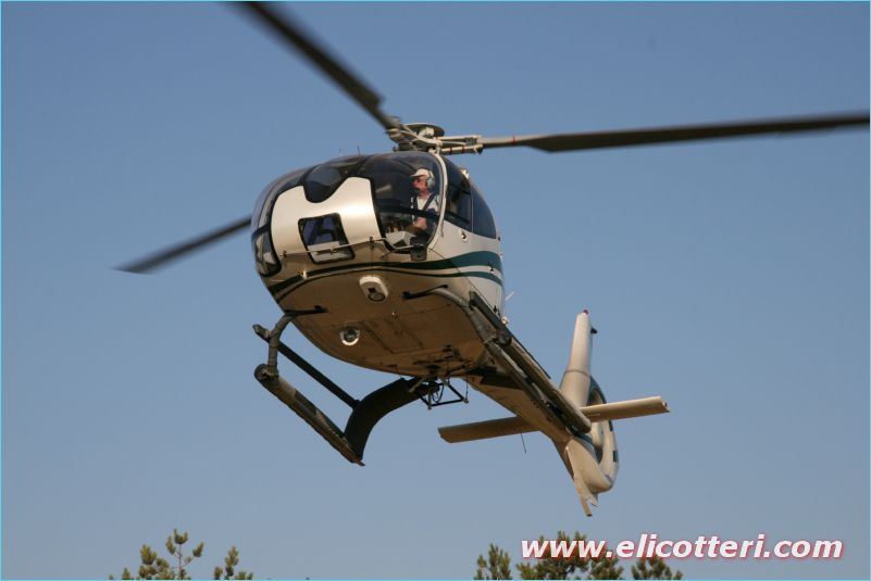 elifoto (156)